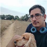 Profesor de programación en frontend con más de 5 años de experiencia